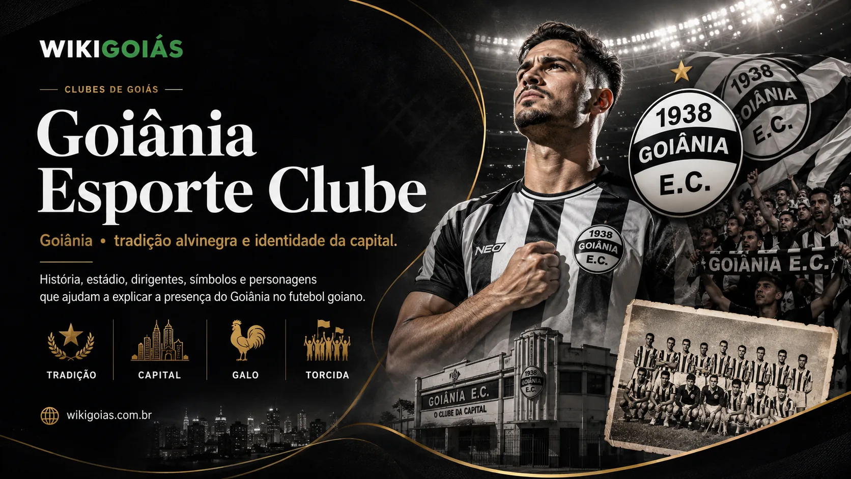 Banner do Goiânia Esporte Clube no WikiGoiás
