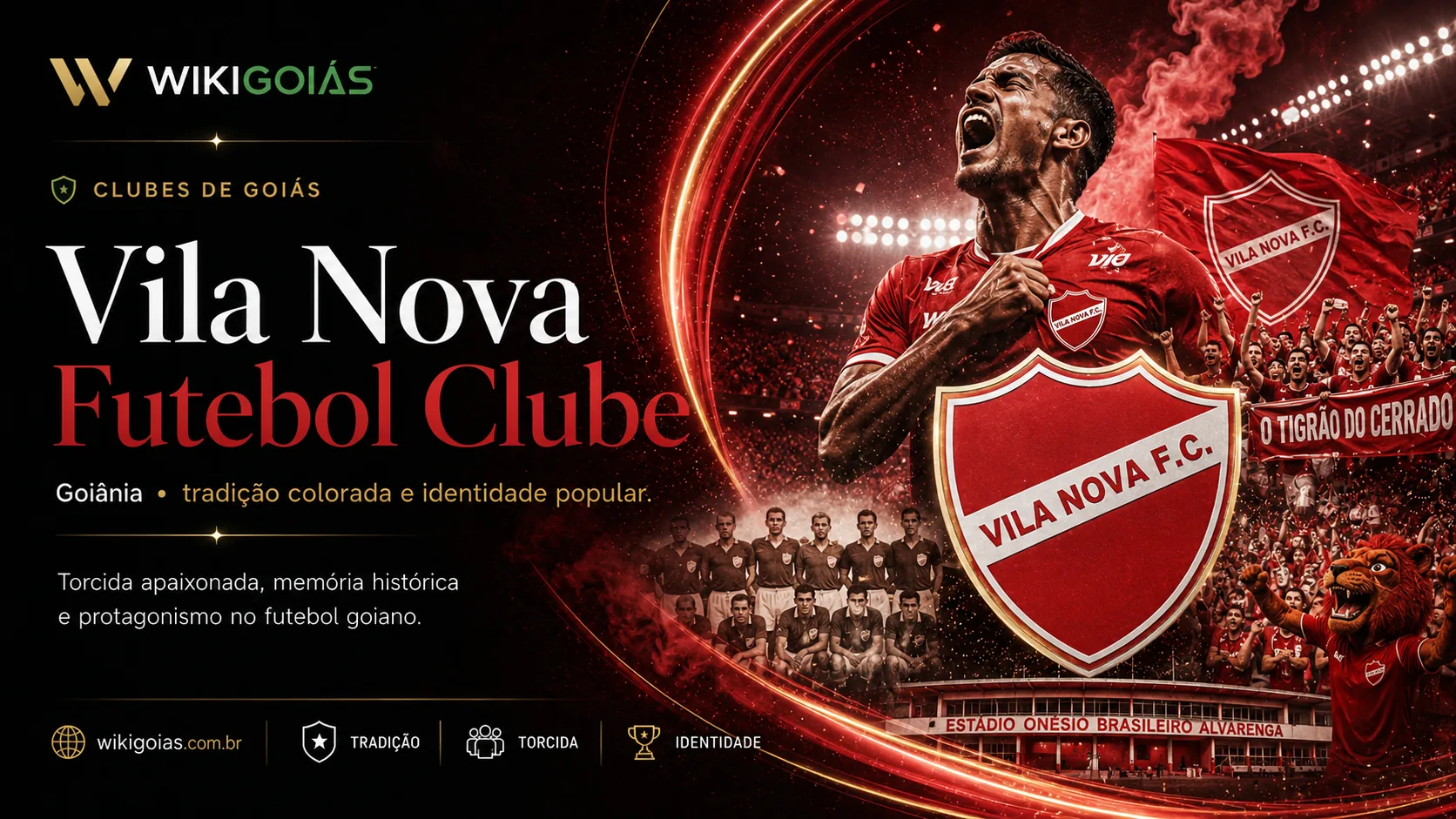 Vila Nova Futebol Clube: história, torcida, estádio e identidade