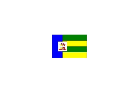 Bandeira de Alexânia, Goiás