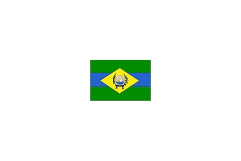 Bandeira de Alto Horizonte, Goiás