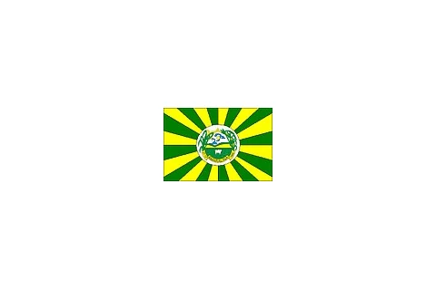 Bandeira de Amaralina, Goiás