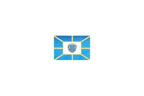 Bandeira de Anápolis, Goiás