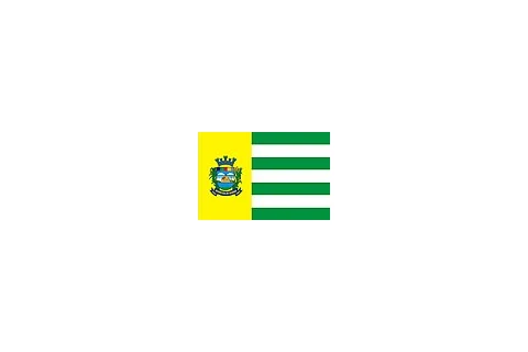 Bandeira de Aparecida de Goiânia, Goiás