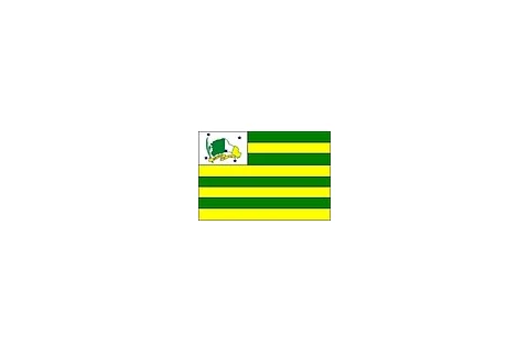 Bandeira de Bom Jesus de Goiás, Goiás