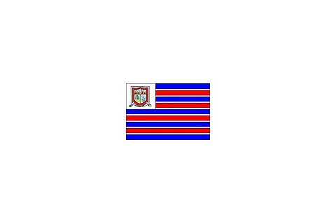 Bandeira de Cachoeira Alta, Goiás