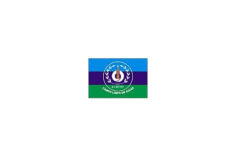 Bandeira de Campo Limpo de Goiás, Goiás
