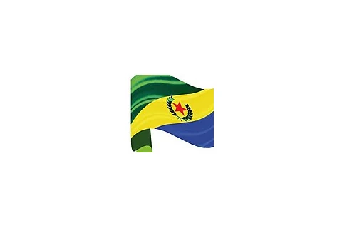 Bandeira de Cidade Ocidental, Goiás