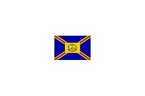 Bandeira de Goianésia, Goiás