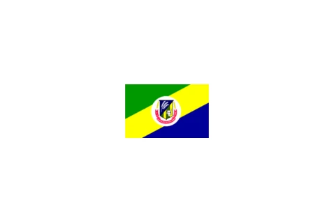 Bandeira de Leopoldo de Bulhões, Goiás