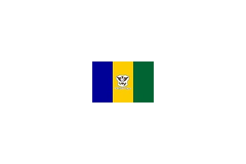 Bandeira de Mineiros, Goiás