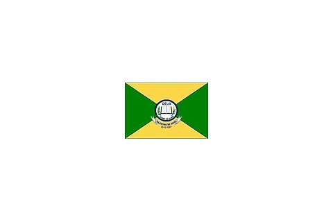 Bandeira de Palestina de Goiás, Goiás