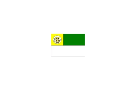 Bandeira de Palmelo, Goiás