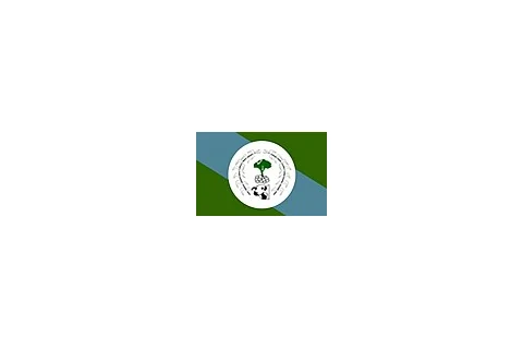 Bandeira de Perolândia, Goiás