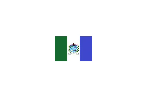 Bandeira de Pires do Rio, Goiás