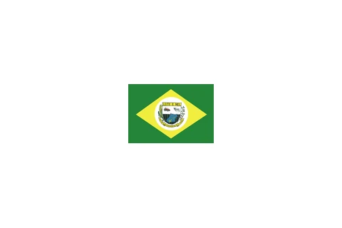 Bandeira de Quirinópolis, Goiás