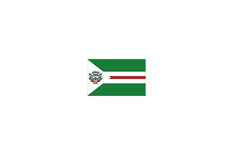 Bandeira de Rio Verde, Goiás