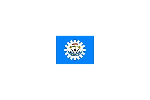 Bandeira de Santa Rita do Araguaia, Goiás