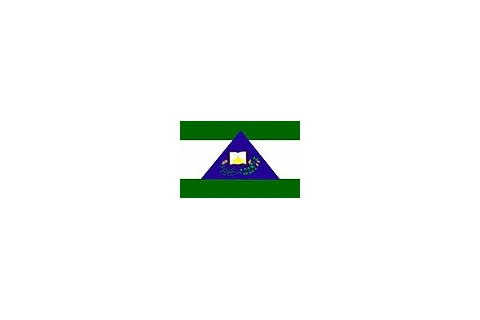 Bandeira de São Miguel do Passa Quatro, Goiás