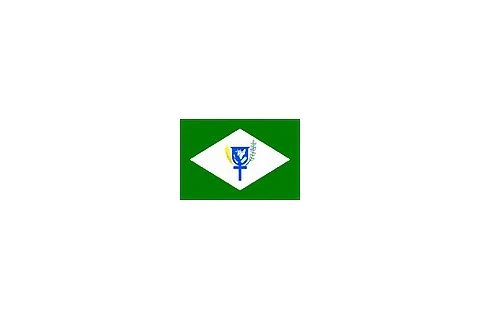 Bandeira de Trombas, Goiás