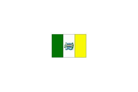 Bandeira de Vianópolis, Goiás