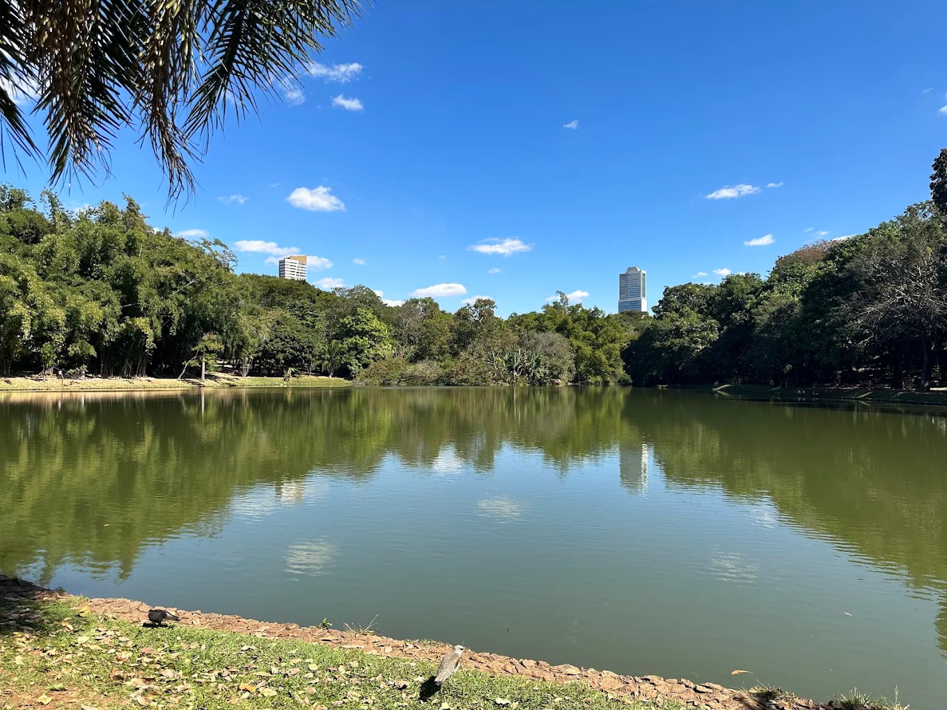 Parque Areião em Goiânia