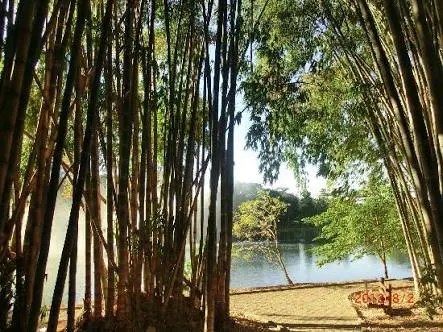 Trilha e pista no Parque Areião em Goiânia