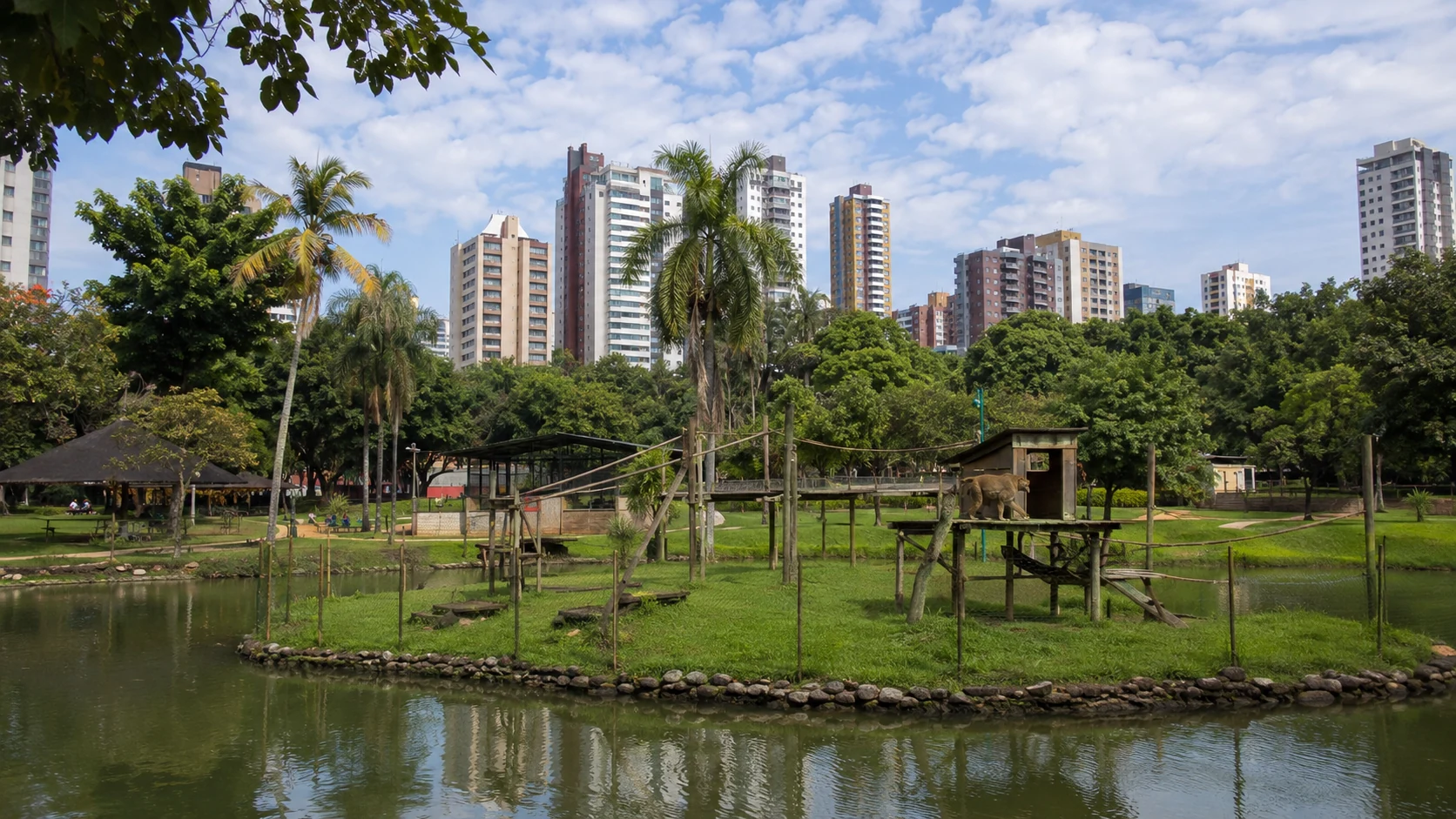 Capa do Zoológico de Goiânia