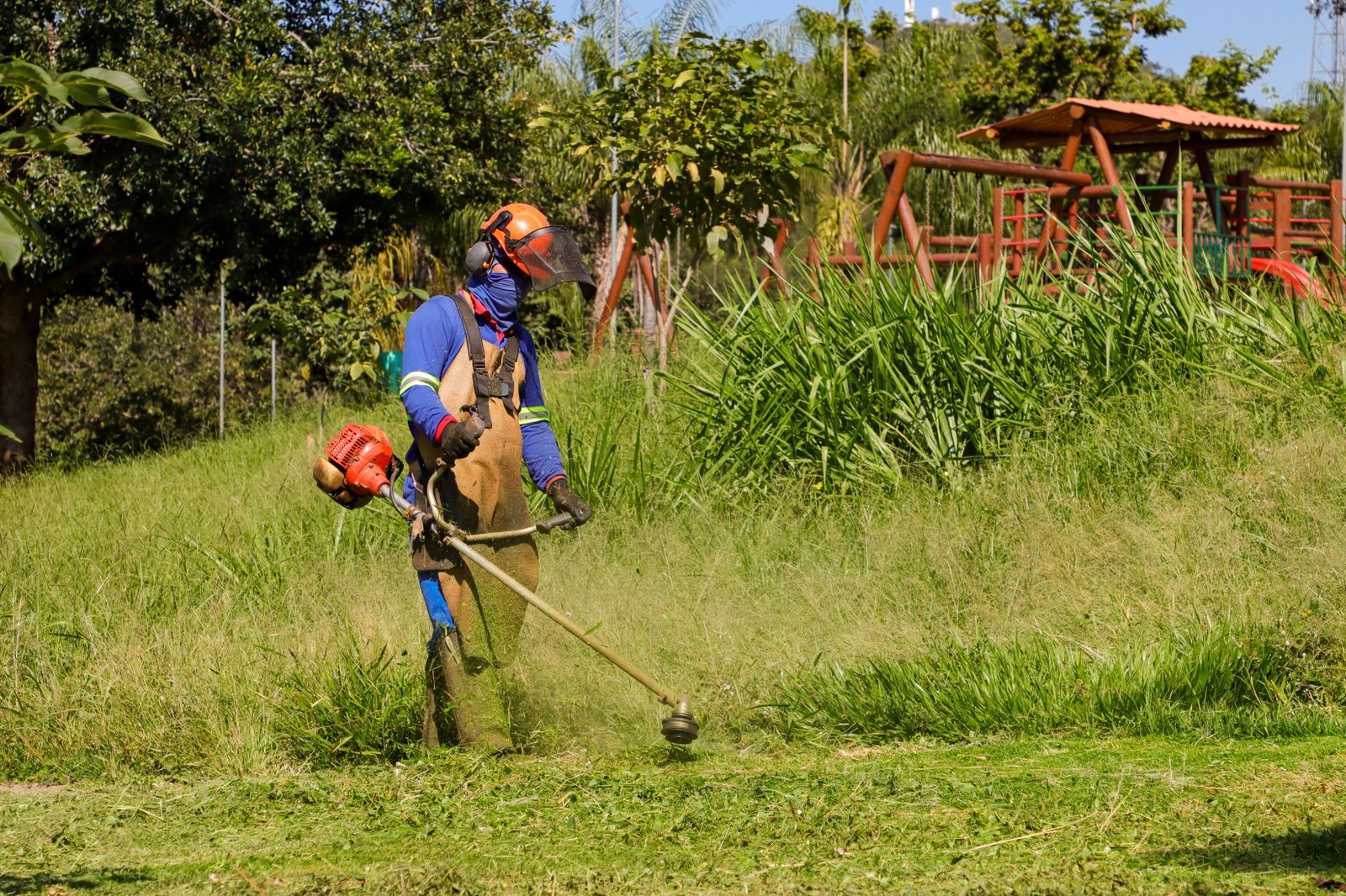 Parque Boa Vista (Bosque do Boa Vista) — senador canedo